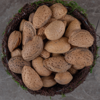 Almond