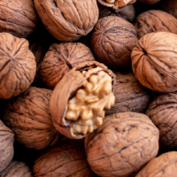 Walnut